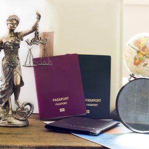 Foreigners and Citizenship Law